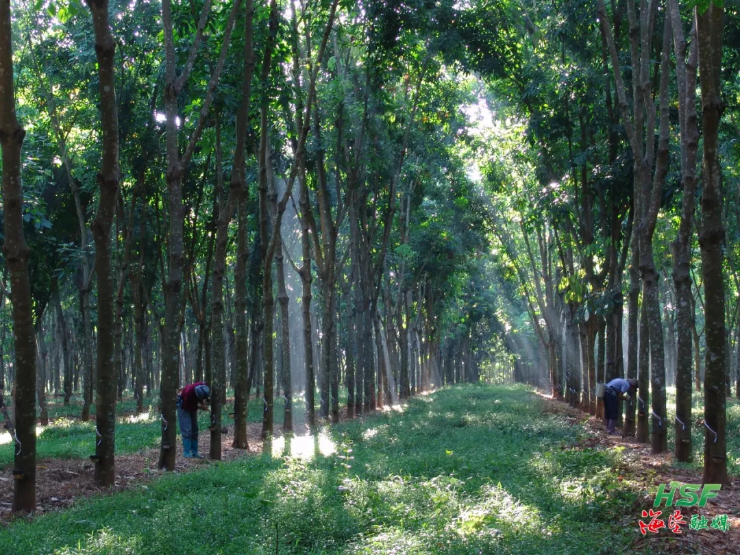 085449a69dca4c419377688677d84f84