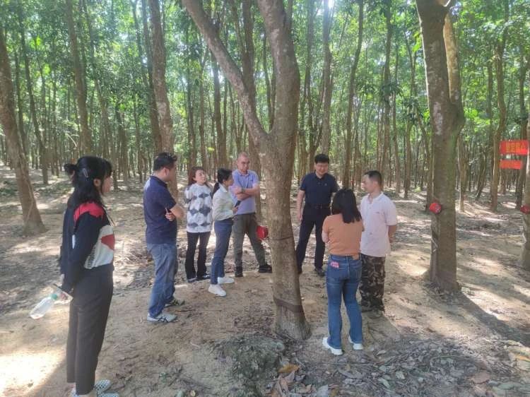 99a57d795b394d0ea68b30758b057dd2