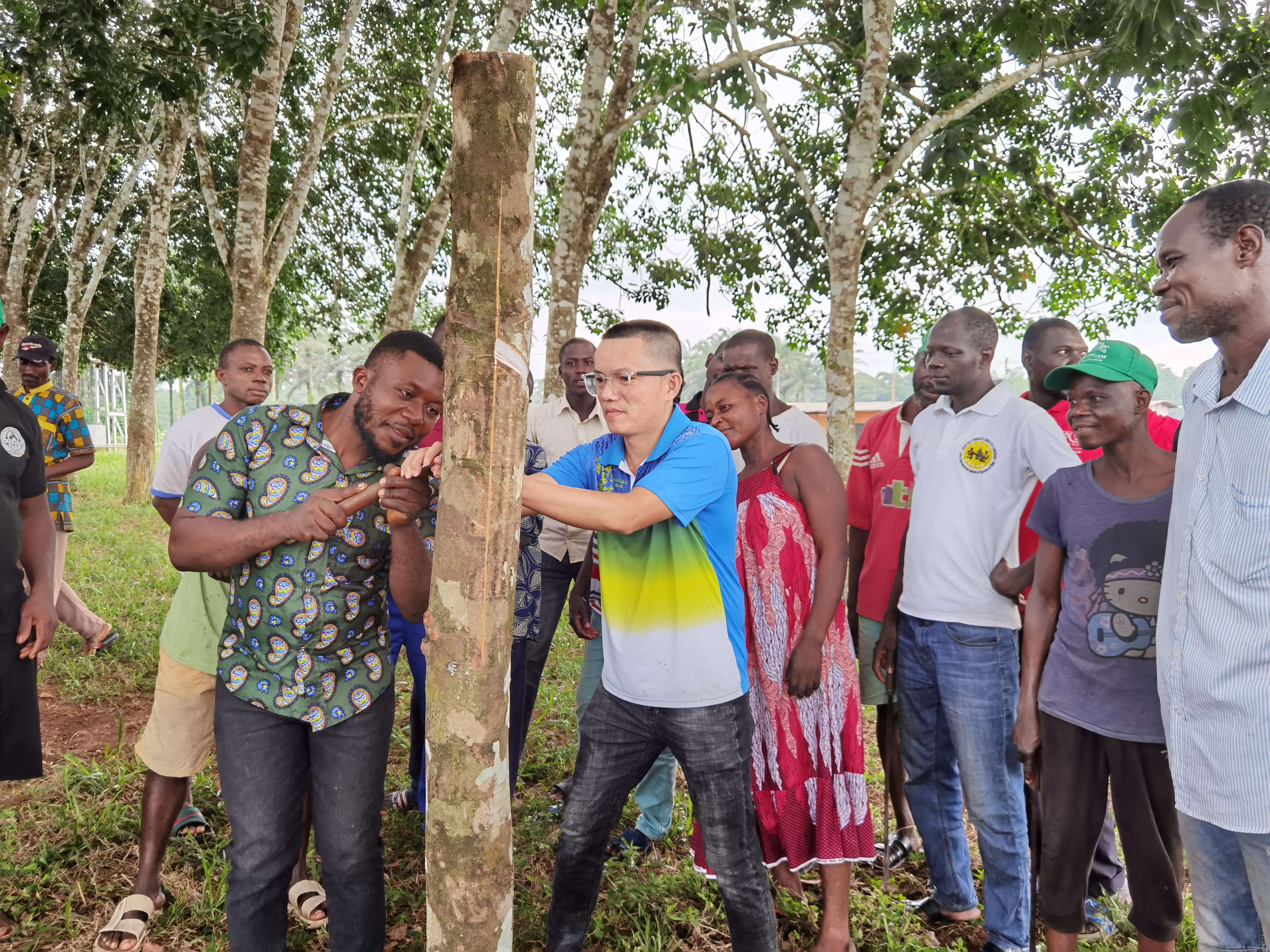 9a6efaba290340bab5e2721325054358