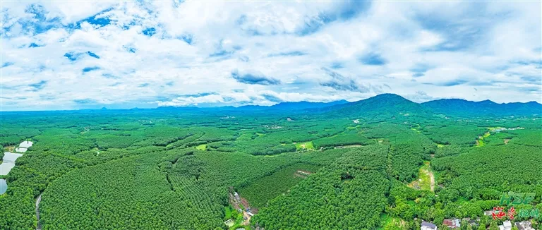 a08545678acb4b04a4e4cc3e2be1a8df