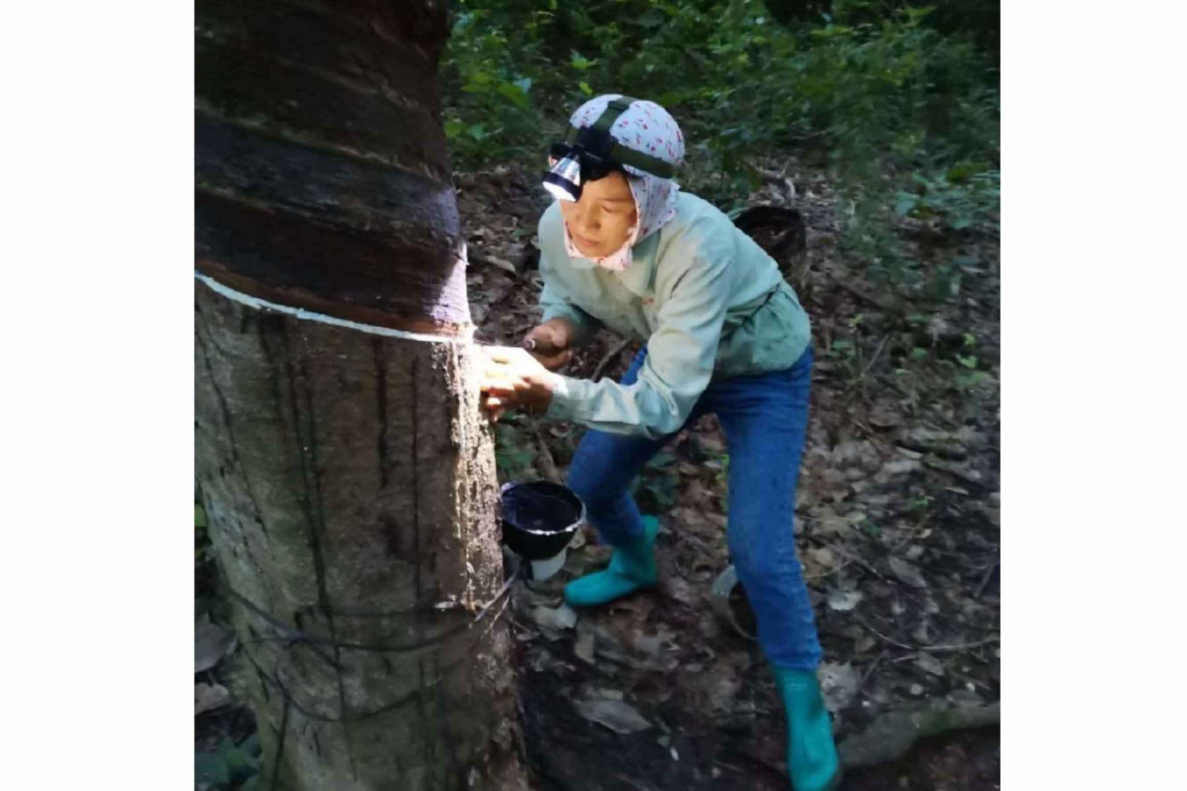 c4ff253d18c24803a945ea8b130b8143