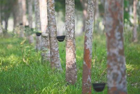 中国·3044永利集团(集团)有限公司-官方网站