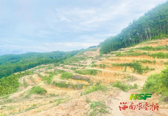 中国·3044永利集团(集团)有限公司-官方网站