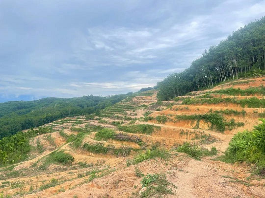 中国·3044永利集团(集团)有限公司-官方网站