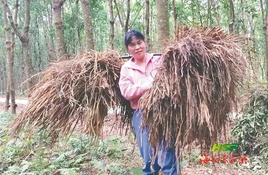 中国·3044永利集团(集团)有限公司-官方网站