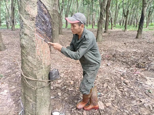 中国·3044永利集团(集团)有限公司-官方网站