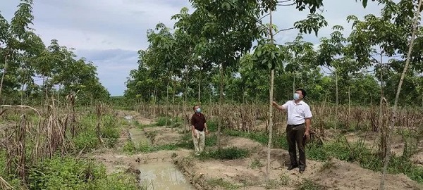 中国·3044永利集团(集团)有限公司-官方网站