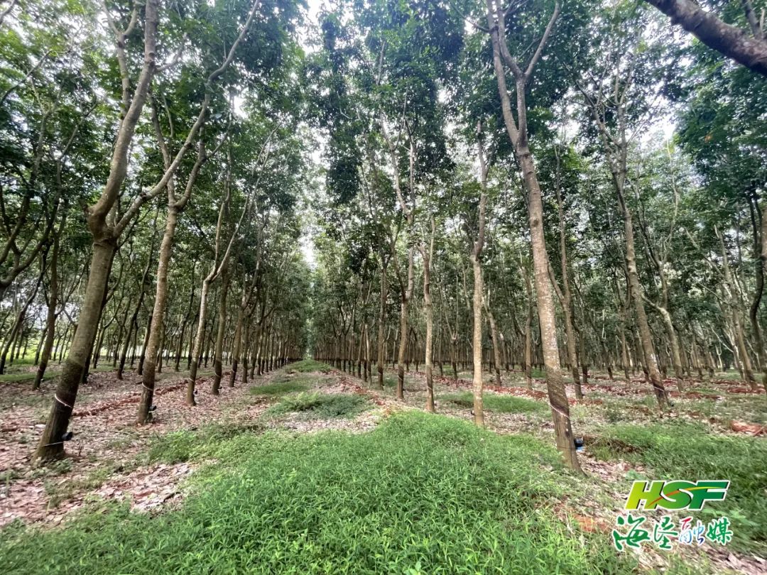 中国·3044永利集团(集团)有限公司-官方网站