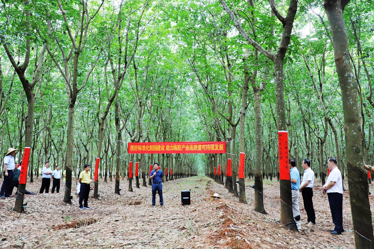 中国·3044永利集团(集团)有限公司-官方网站