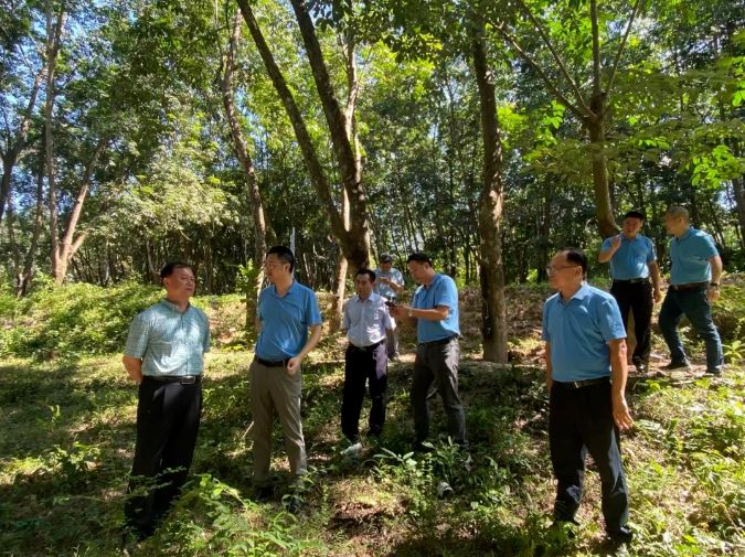 中国·3044永利集团(集团)有限公司-官方网站